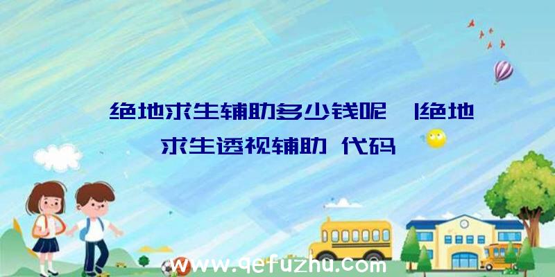 「绝地求生辅助多少钱呢」|绝地求生透视辅助